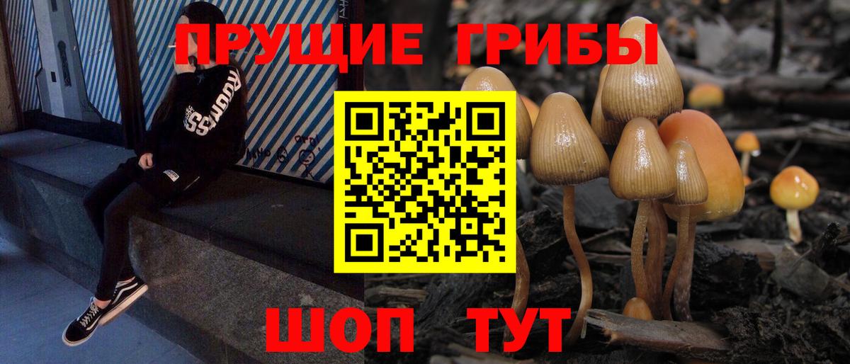Галлюциногенные грибы MAGIC MUSHROOMS  Вход с VPN  купить  сайты  Дмитров 
